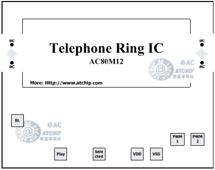 �Ԓ�оƬ12����Ƭ��D